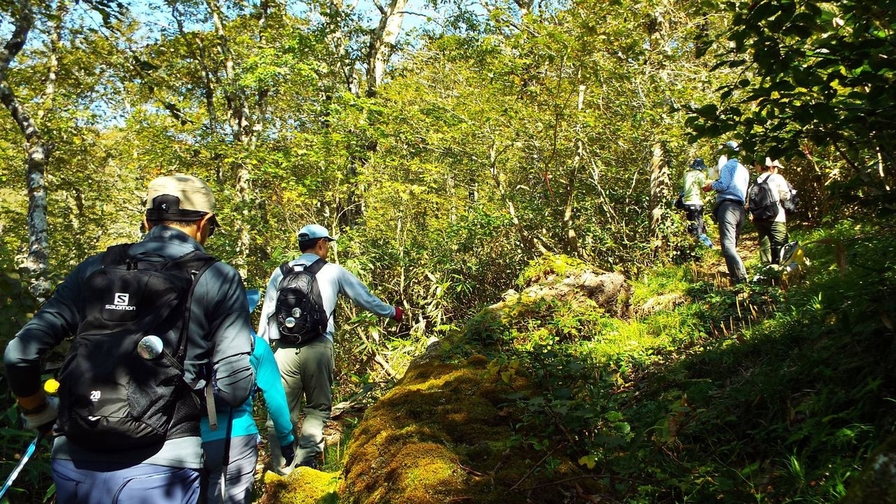 禿岳「花立峠」登山口まで車で10分！四季折々の自然を満喫★登山やトレッキングに／【和洋会席御膳】